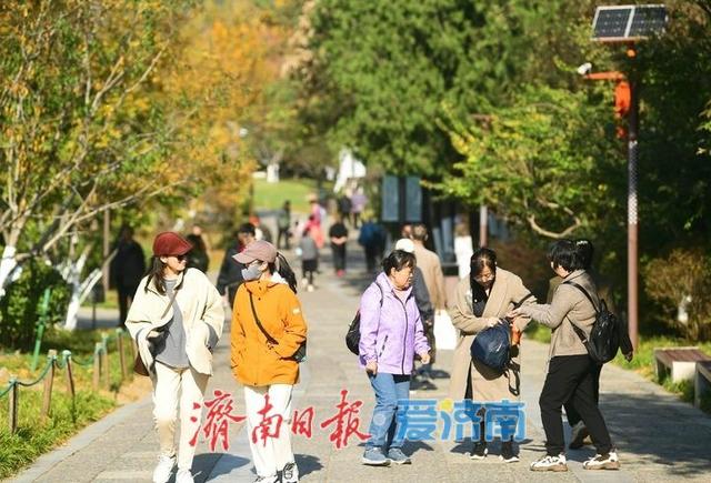 层林尽染秋意浓，“佛山赏菊”正当时