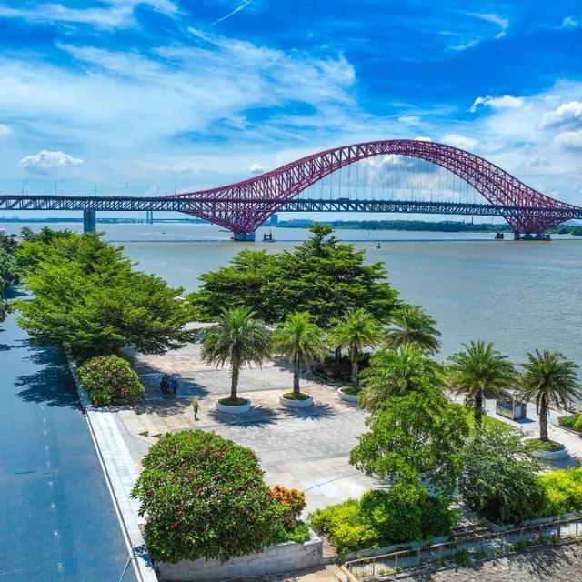南沙“情侣路”新进展：滨海大道堤顶路骑行道贯通！