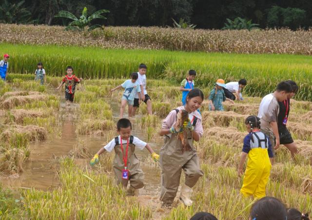 《经济日报》整版聚焦：临沧市打造“遇见临沧如回故乡”品牌