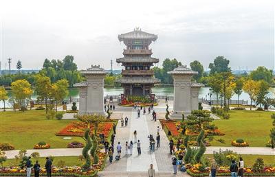 花开傲霜枝 菊色满晋阳（一朵花读懂一座城）