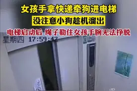 8月17日，广东东莞。女孩手拿快递牵狗进电梯，没注意小狗趁机溜出，电梯启动后绳子勒住女孩手腕无法挣脱。图片