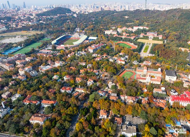 海韵+汇筑+绮景！青岛初冬的浪漫被具象化了