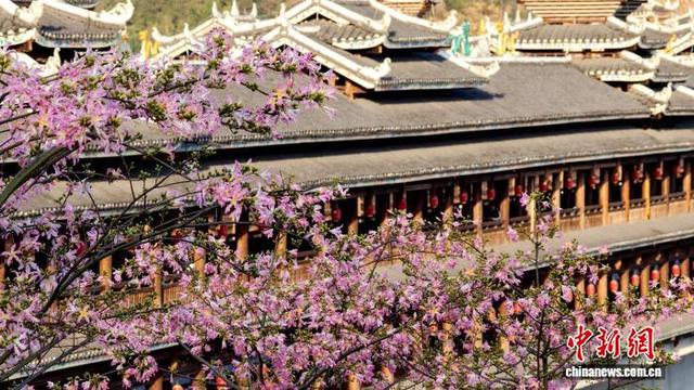 广西三江侗乡：花映廊桥美如画