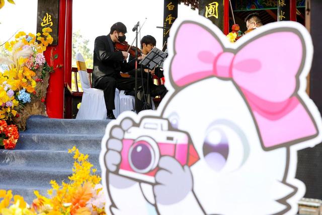 杏运春城，鸥遇昆明！昆明开启2025赏杏观鸥季