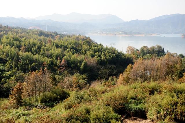 初冬时节 安徽黄山太平湖畔景美如画
