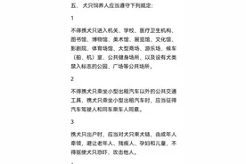 母女公园内遭4条恶犬围攻撕咬，伤口最深处已见骨！警方介入图片