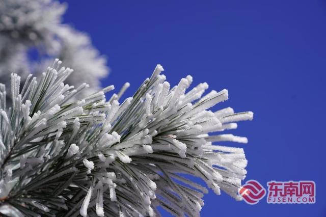 【组图】三明泰宁峨嵋峰现雾凇奇观