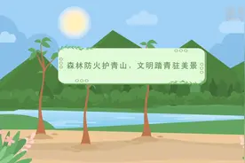 公益微视频｜森林防火护青山，文明踏青驻美景图片