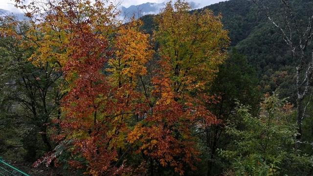 甘肃公交建集团康略高速公路：秋染康略 车行画境