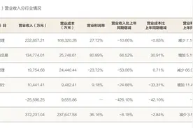 方正证券上半年营收净利润双降，仅投资与交易业务营收实现正增长图片