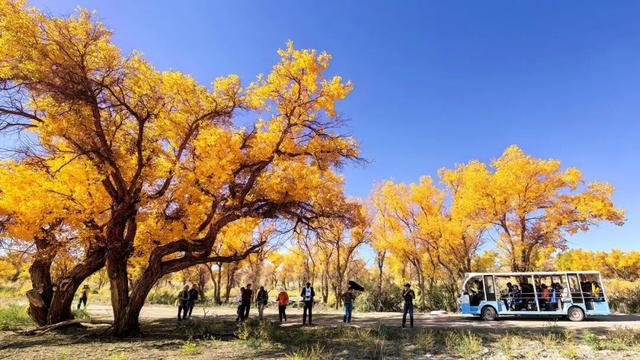【央媒聚焦丨人民网】双节期间克拉玛依文旅市场接待量猛增