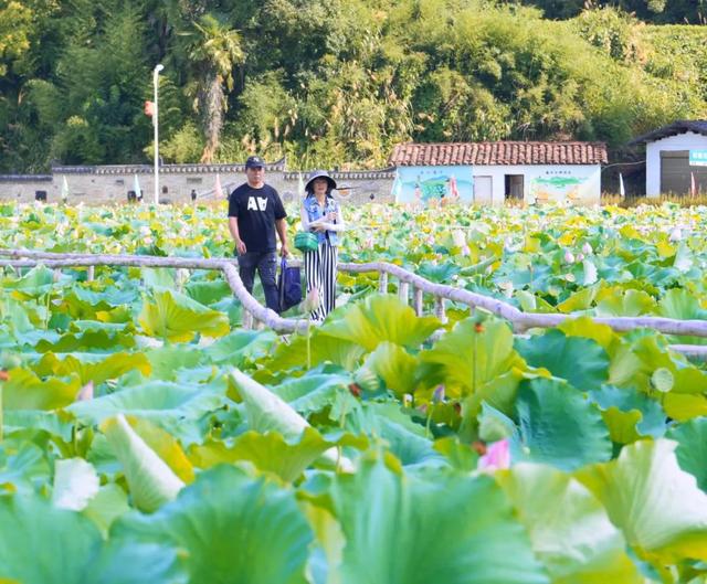 新鲜出炉！泰宁8大神仙玩法你知道几个？