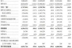 前高盛高管出任CFO，哪吒汽车要冲刺IPO了图片