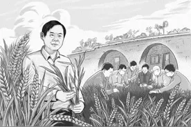 西北农林科技大学植物免疫研究团队：裤脚但沾泥土，指尖便长留麦香图片