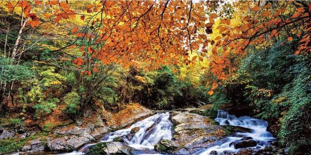 “川超”燃动巴中双节 文体旅融合激发消费新活力