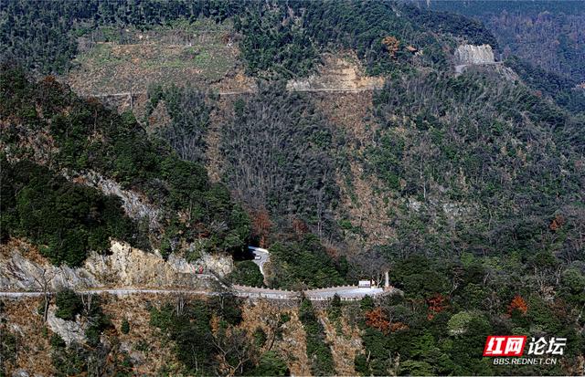 从“十八拐”到齐眉界，一条森林公园里的红色风景线