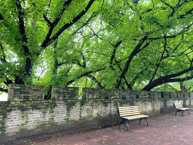 南宁故事 | 百米古城墙 斑驳青砖记岁月历史——南宁市区唯一保留下来的古城墙