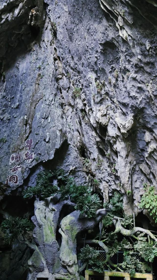热 ҈ 热 ҈ 热？速戳打开江西「冰“洞”模式」！
