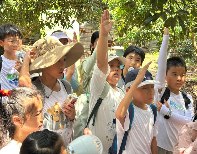 来樟木头，体验一场在山水与文字之间生长的文艺周末