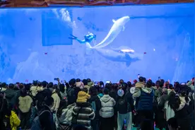 图片新闻|沙坪坝：乐享周末 市民畅游海洋世界图片