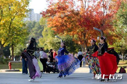 长沙初冬美到让人挪不开眼