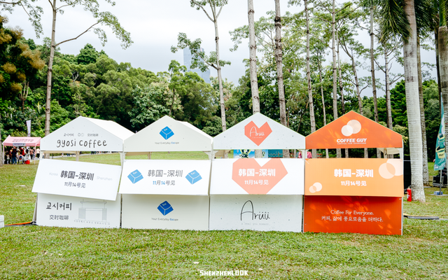 深圳湾的夜景再次升级 · 周末游玩指南