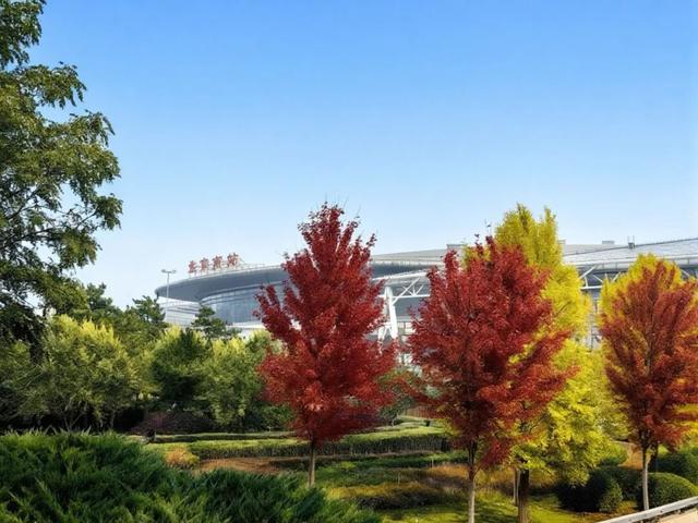 秋意正浓，邂逅浪漫！快来打卡“七站两场”地区的限定秋色