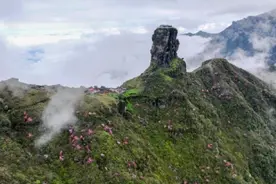 贵州梵净山：杜鹃烂漫梵净山 色彩缤纷游人醉图片