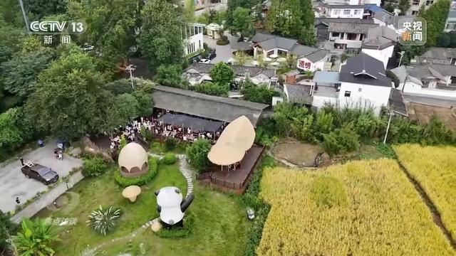 从家门口的公园里 解码城乡共同发展绿色密码