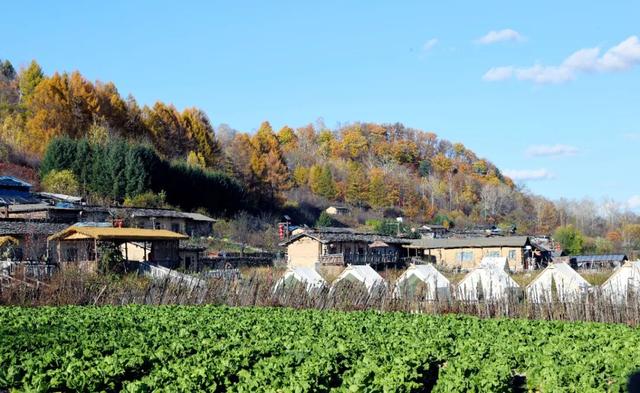 省媒看白山 | 吉林日报：秋色浸染百年村落，长白山腹地“木文化活化石”风光正好