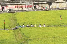 花开·客来图片