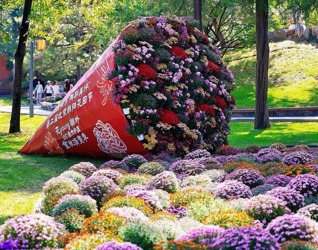 这场不等人的浪漫，有新玩法