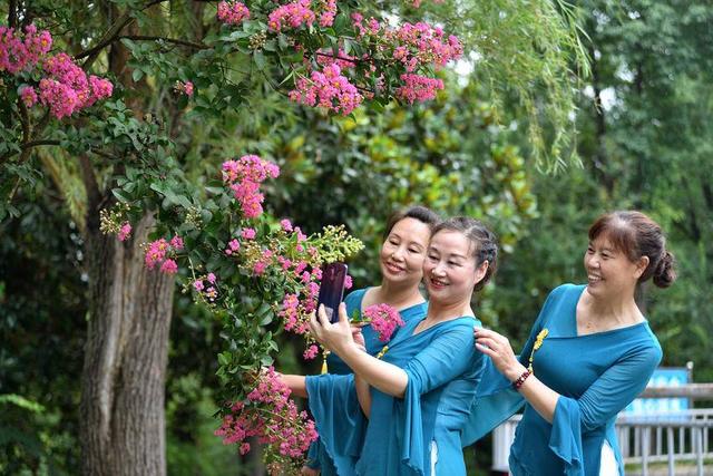 保康：紫薇绽放盈香韵 引得游人踏芳来