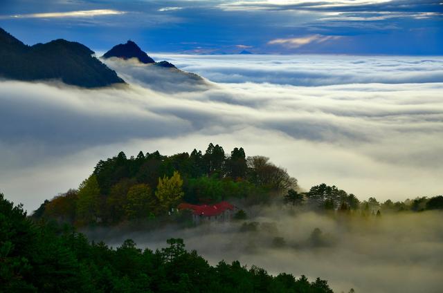 一花一瀑一云烟，庐山春意正当时