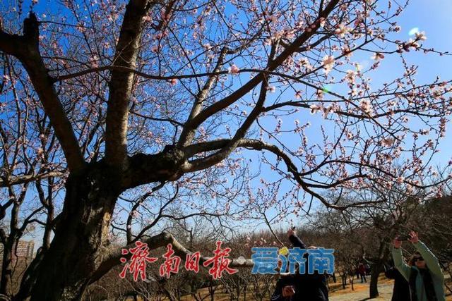 走进公园 一起遇见春天