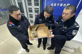 冰城民警救助国家二级保护动物图片