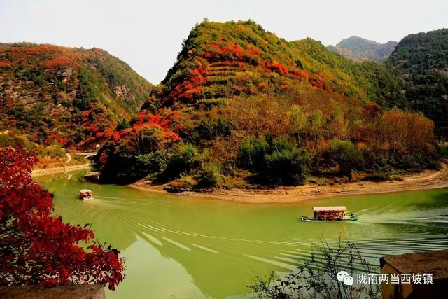 西坡镇：10月必推！最美红叶观赏地，满山红叶美得像油画！