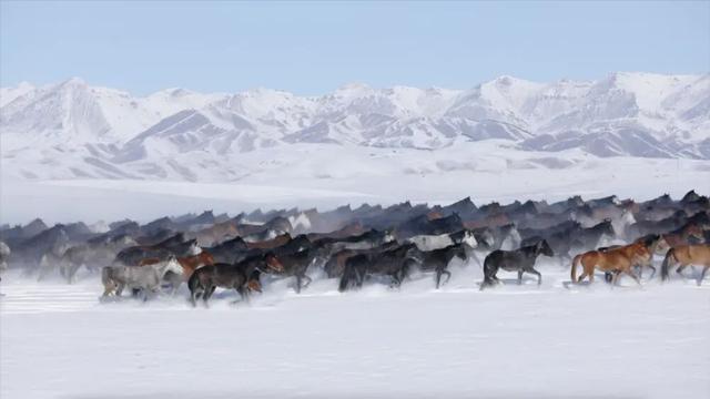 好消息！新疆一地宣布：即日起至2026年底，全域景区对江苏游客免费！