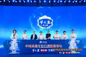 一个“年”字 洋河确立“中国高端年份白酒”标杆地位图片