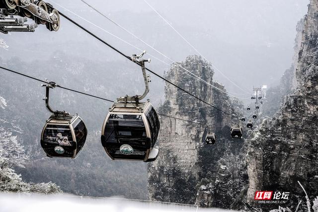 【每日一图@湖南】张家界的雪后云海，藏着湖南冬日的浪漫