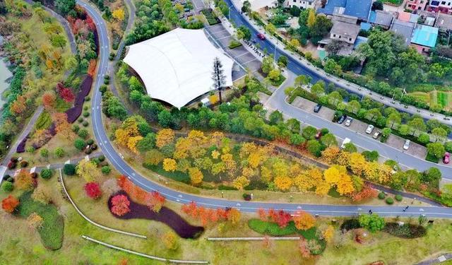 别眨眼，接下来的新干是这样的→