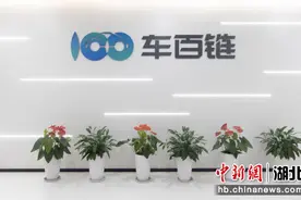 武汉经开区加快建设汽车供应链平台图片