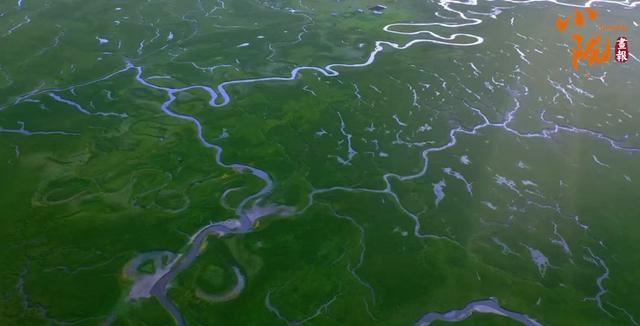 【小陇画报·237期】玛曲：“黄河首曲”生态美 一湾碧水润草原