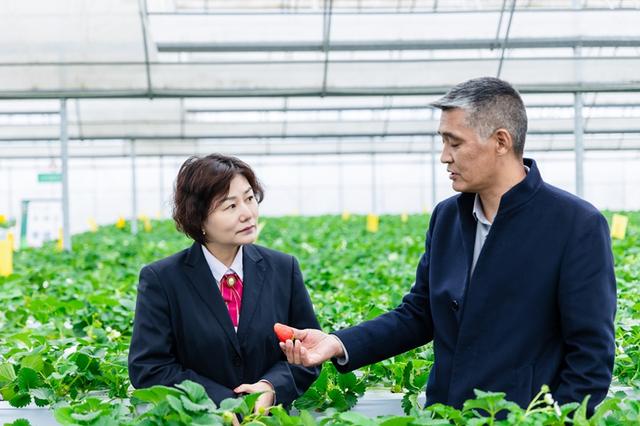 江南农商行：优化结构做＂减法＂ 深耕服务做＂加法＂