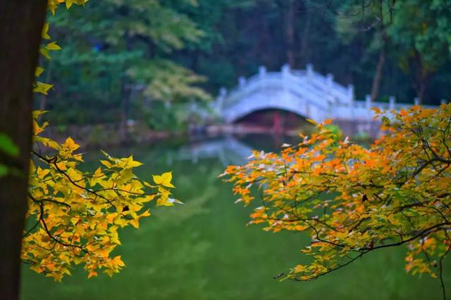 今日浓度50%！巢湖人都懂
