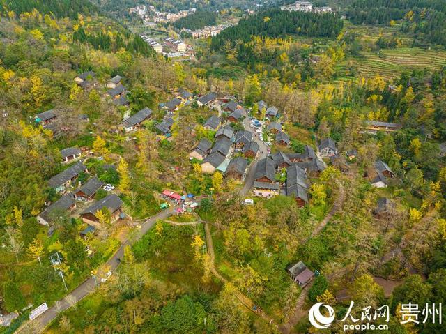 贵州六盘水：“一冷一凉”撬动“热经济”