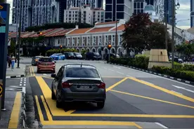 新加坡规划秘诀，“大国也可借鉴自然城市理念”图片