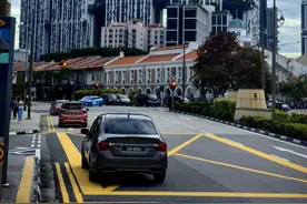 新加坡规划秘诀，“大国也可借鉴自然城市理念”图片