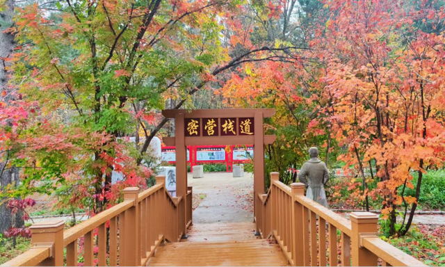 踏红色足迹 赏边疆风光 来延边开启一场红色之旅吧