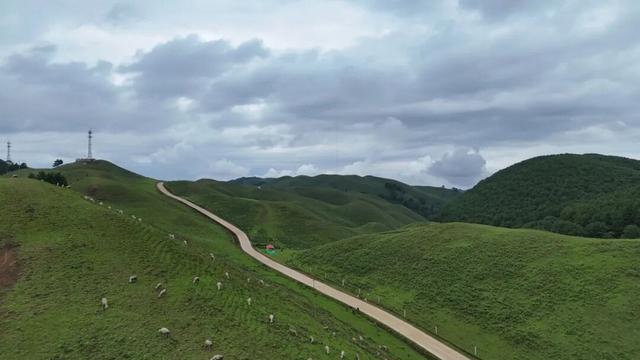 与大地同频呼吸！这个秋天，总要去寻甸草原秘境寻找下自己的“阿勒泰”时刻了